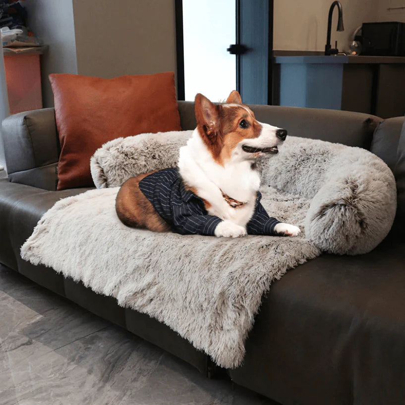 Calming Dog Bed & Sofa Protector