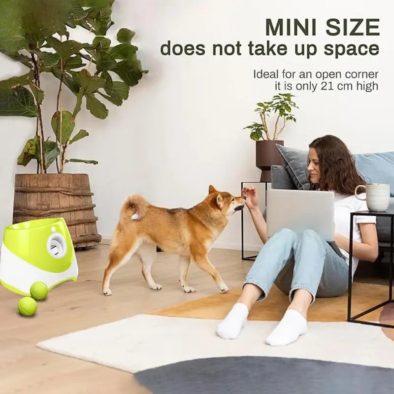 3 Mode Adjustable Pet Toy with Tennis Balls